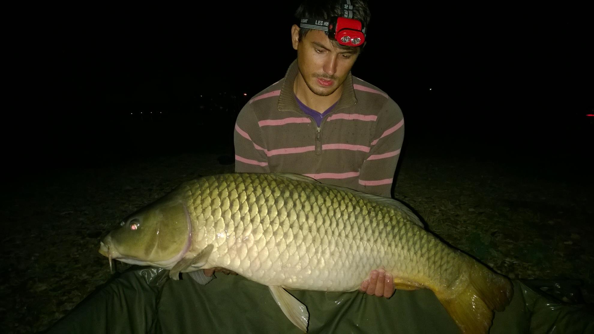 Hermes Peris 12 - 14 septembrie 2014 - wp20140914011.jpg